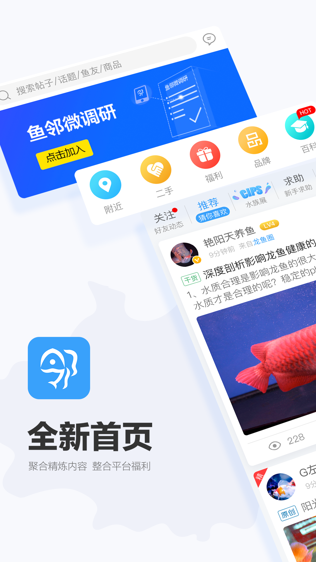 龙巅鱼邻v2.1.0截图1