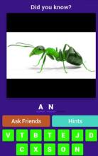 animals Quiz 2019-best Quiz 2019截图4