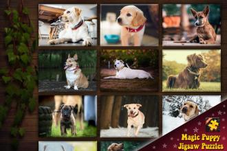 Magic Puppy Jigsaw Puzzle截图4