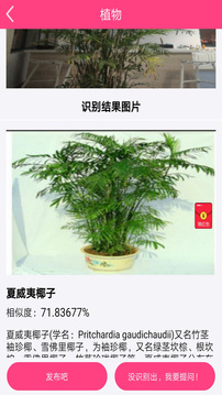 拍照識(shí)物截圖