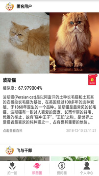 拍照識(shí)物截圖