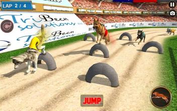 Real Dog Racing Tournament截图4