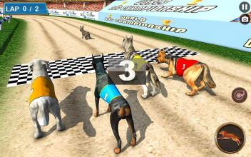 Real Dog Racing Tournament截图3