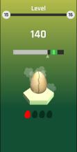 World Record Egg Hatch截图4