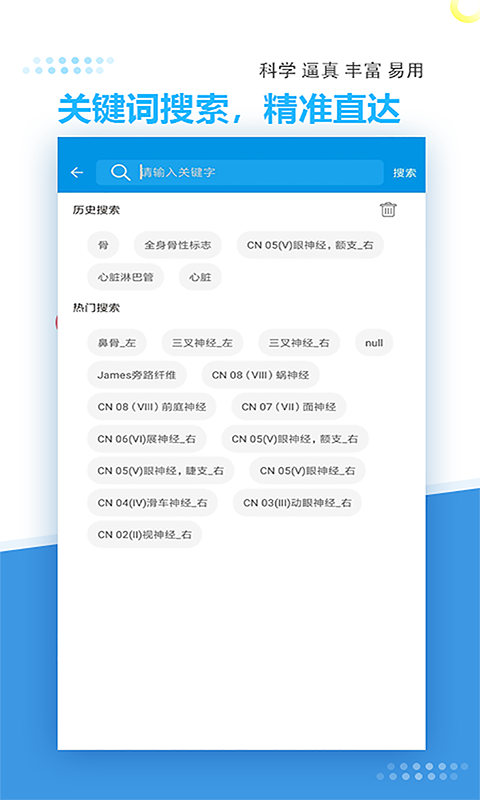 維薩里3D解剖截圖預(yù)覽