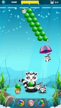 Save Racoon - Bubble Shooter截图2