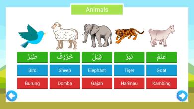 Learn Arabic Vocabulary截图2