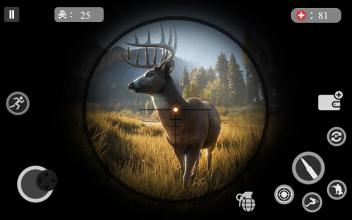 Deer Hunter Safari - Wild Animal Hunting截图5