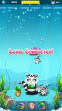 Save Racoon - Bubble Shooter截图1