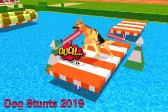 Shepherd Dog Legendary Stunts 2019截图5