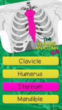 The Human Anatomy Quiz App On Human Body Organs截图5