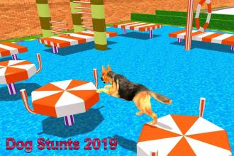 Shepherd Dog Legendary Stunts 2019截图3