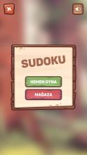 Wooden Sudoku Puzzle截图4