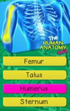 The Human Anatomy Quiz App On Human Body Organs截图2