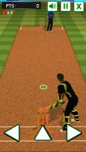 Cricket Batting Challenge截图2