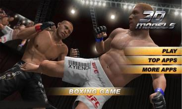 Boxing Rising 3D截图2