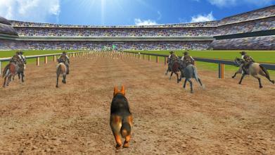 Crazy Dog Racer and Horse Run截图5