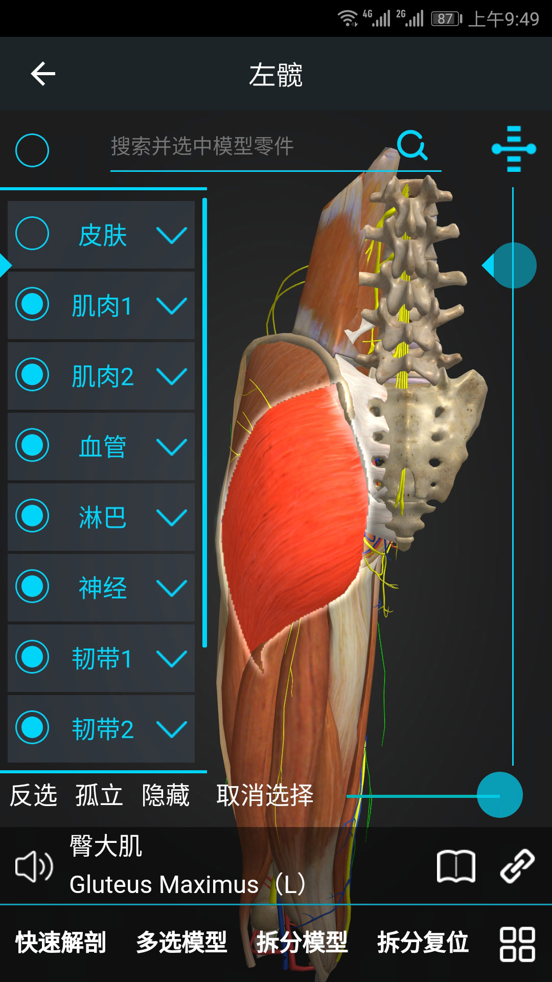 医维度v1.1.9截图4