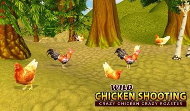 Wild Chicken Shooting: Crazy Chicken Crazy Rooster截图1