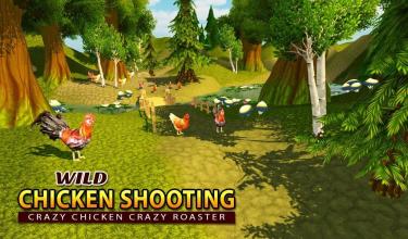 Wild Chicken Shooting: Crazy Chicken Crazy Rooster截图2
