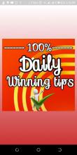 100%Daily winning tips截图4