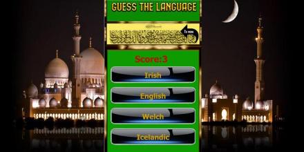 Guess the language 2.0截图2