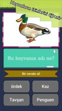 MySchool (Learn Turkish Language)截图5