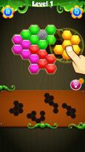 Color Block Puzzle截图2