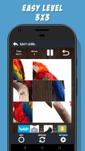 Birds - Sliding Image Puzzle截图1