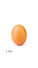 Egg - Kylie Jenner Clicker截图1