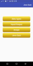 java quiz interview截图2