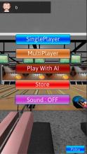 3D Bowling Strike Pins截图2