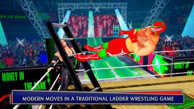 Ladder Fight Match World Tag Wrestling Match截图2