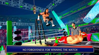 Ladder Fight Match World Tag Wrestling Match截图5