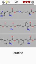 Amino Acids Structures  Quiz and Flashcards截图1