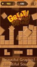 Wood Block Puzzle Play截图3