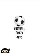 Football Logo Puzzle截图1