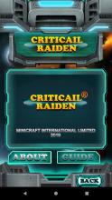 Critical Raiden截图4