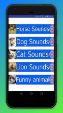 Beautiful Animal Sounds App截图2