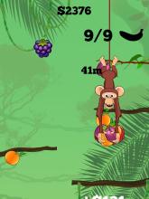 Monkey Master截图5