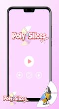 Poly Slices  Puzzle Game截图2