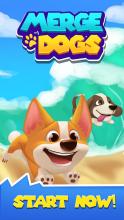 Merge Dogs - Idle Clicker Tycoon截图1