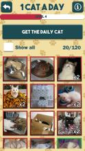 1 Cat a Day截图2