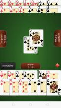 CallBreak Spades Aces截图2