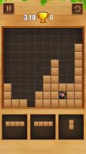 Block Puzzle Wood New截图2