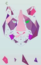 Polygon Puzzle Magic Art截图3