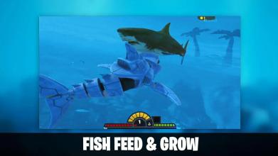 Fish Feed Simulator Knowledge截图1