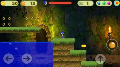 super Hedgehog jungle截图1