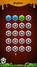 Hexa Puzzle mania截图3