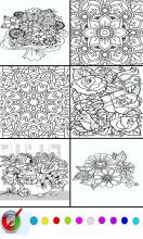 Secret Garden Coloring Book截图2